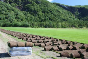 Fra produksjonsomr�dene