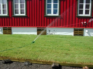 Nylagt plen blir godt vatnet i Svolv�r