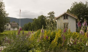 Steigen Bygdetun