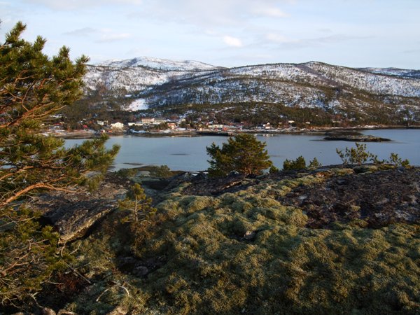 Innhavet sett fra Øya